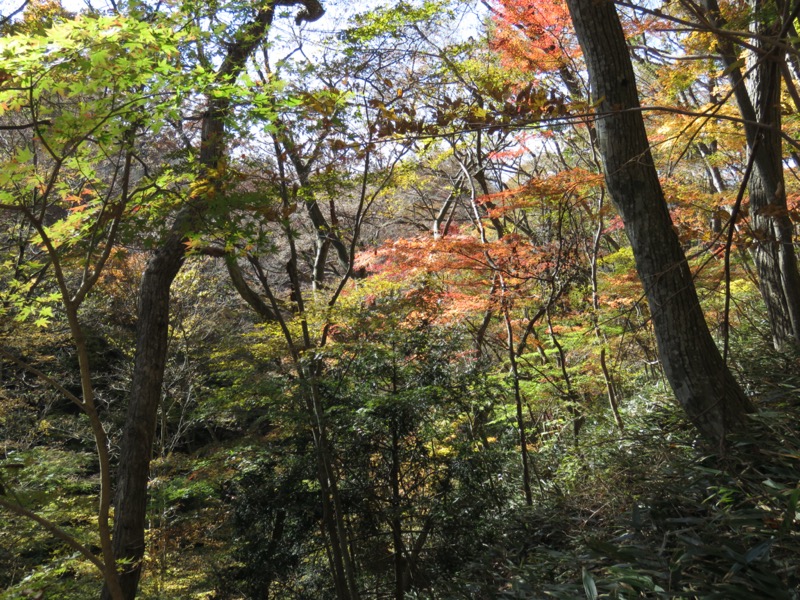 奥久慈・男体山